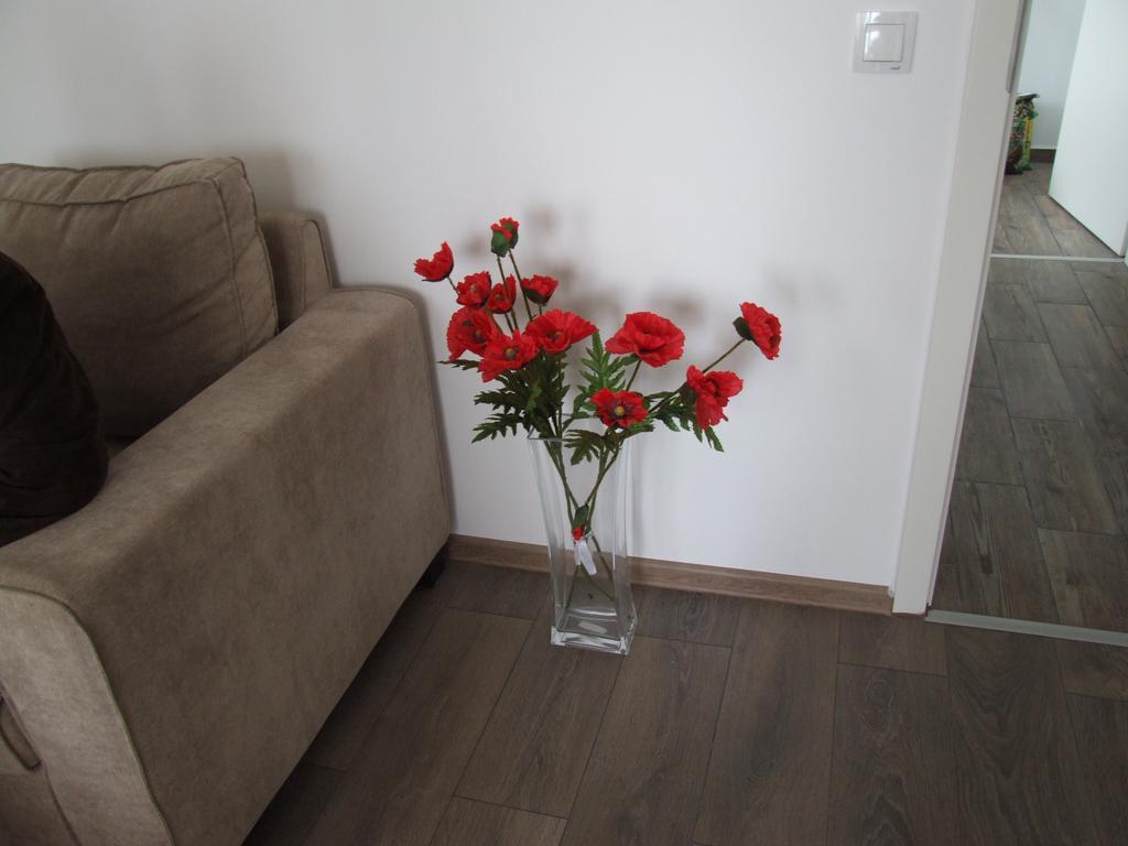 Anca Apartment Brasov Luaran gambar