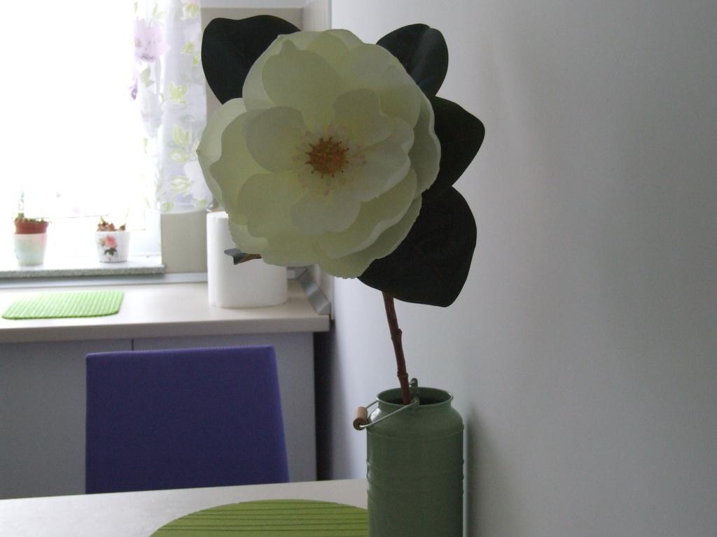 Anca Apartment Brasov Luaran gambar